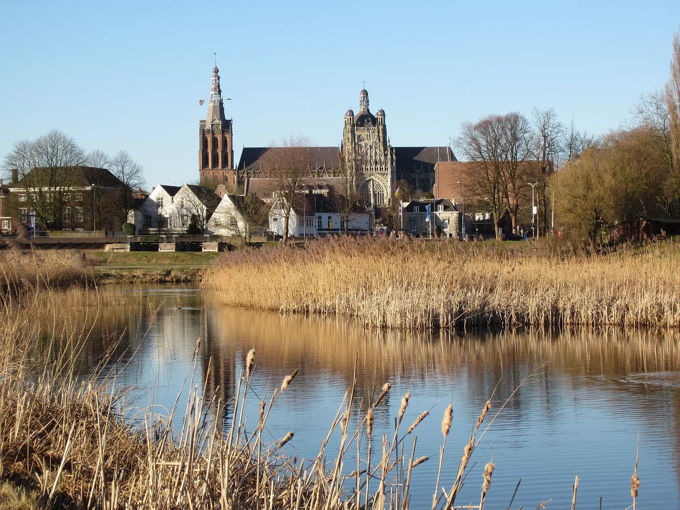 De Sint-Janskathedraal in Den Bosch